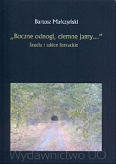 Obrazek "Boczne odnogi, ciemne jamy..." Studia i szkice literackie