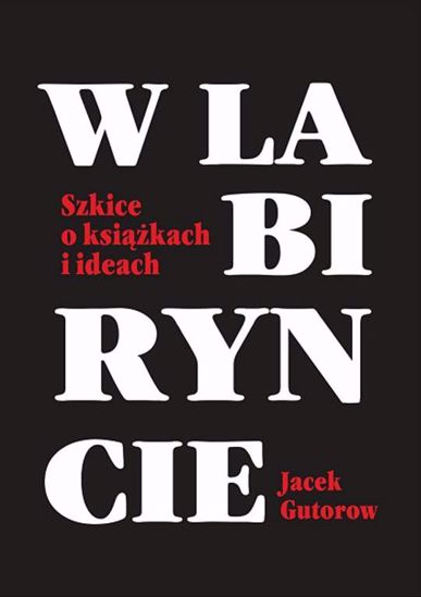 Obrazek W labiryncie. Szkice o książkach i ideach